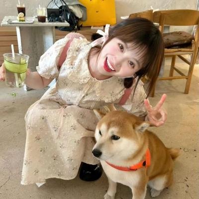 他们她们封面