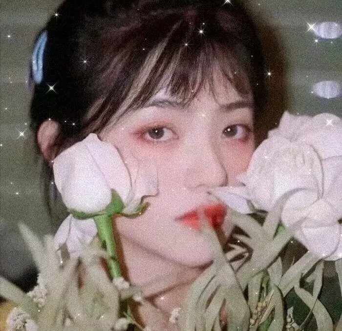 美丽诱惑封面